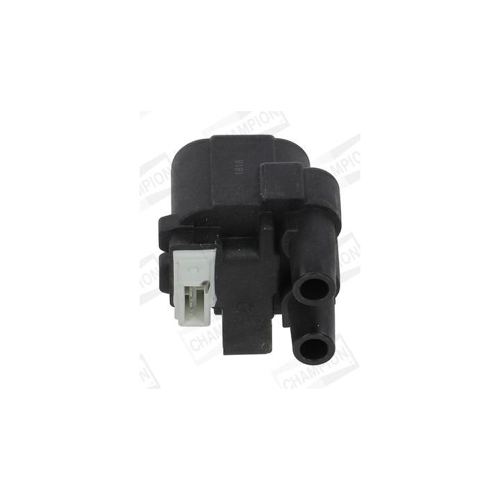 Ritė, uždegimas CHAMPION BAEA243