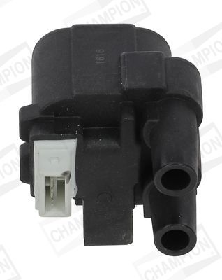 Ritė, uždegimas CHAMPION BAEA243