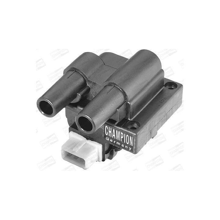 Ritė, uždegimas CHAMPION BAEA243