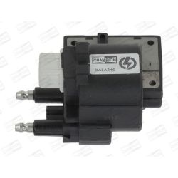 Ritė, uždegimas CHAMPION BAEA246