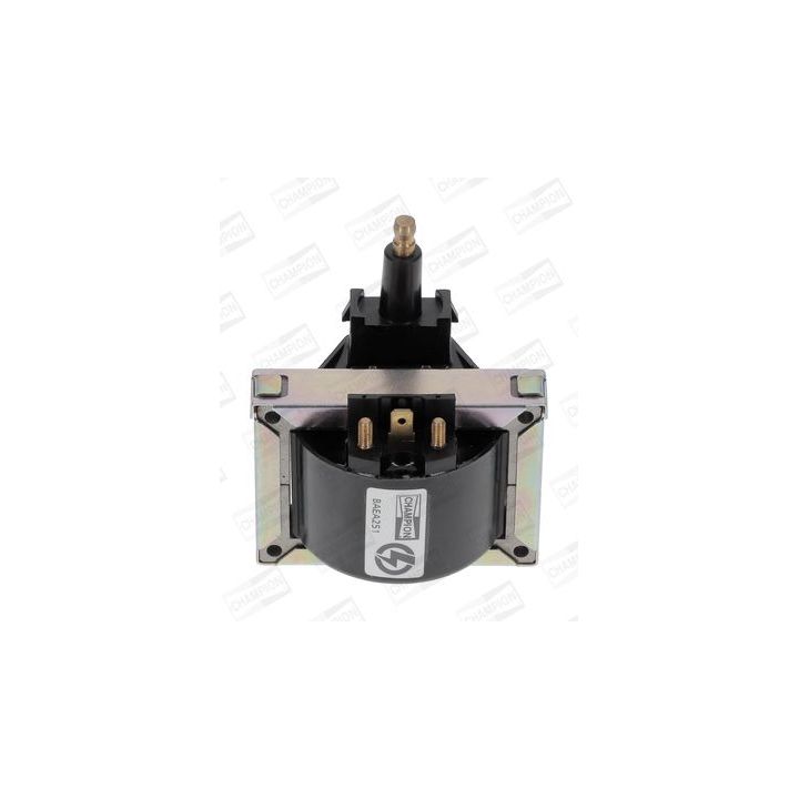 Ritė, uždegimas CHAMPION BAEA251