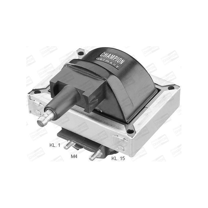 Ritė, uždegimas CHAMPION BAEA251