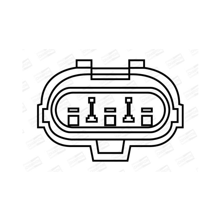 Ritė, uždegimas CHAMPION BAEA264