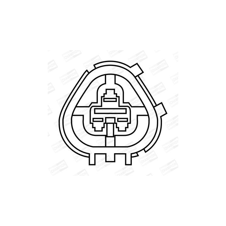 Ritė, uždegimas CHAMPION BAEA266