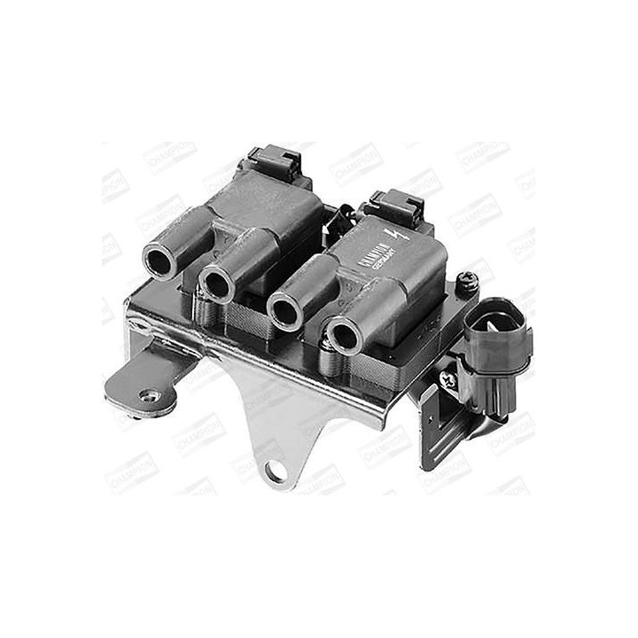 Ritė, uždegimas CHAMPION BAEA266