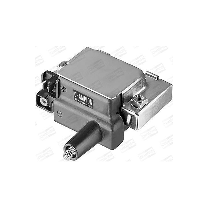 Ritė, uždegimas CHAMPION BAEA275