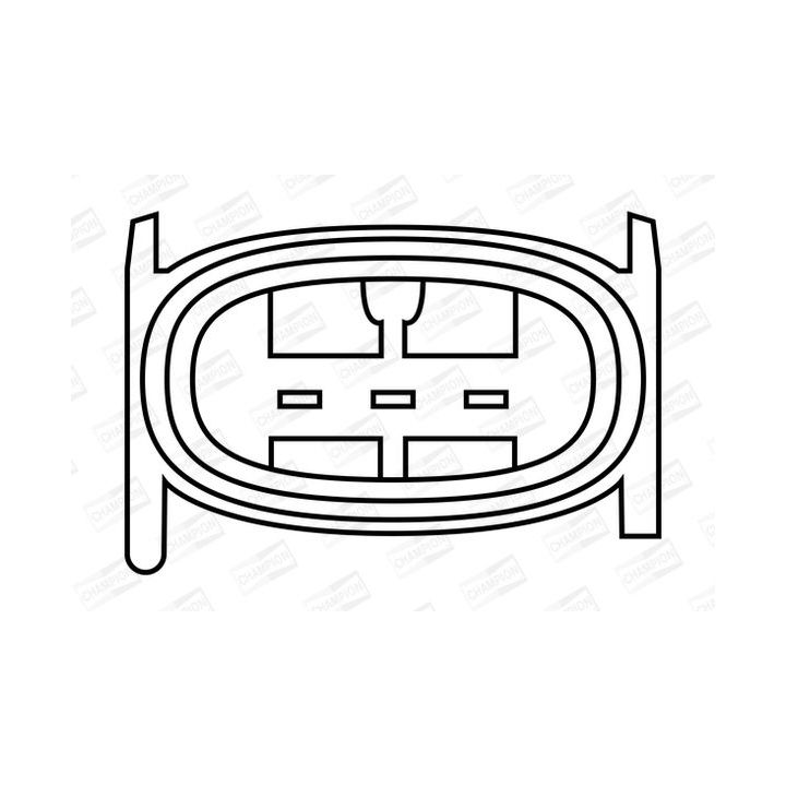 Ritė, uždegimas CHAMPION BAEA281