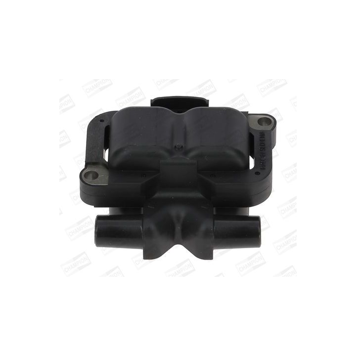 Ritė, uždegimas CHAMPION BAEA304