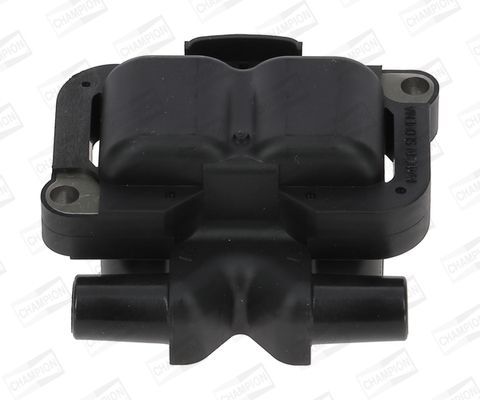 Ritė, uždegimas CHAMPION BAEA304