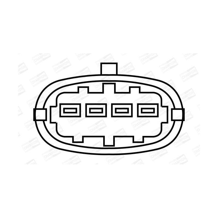Ritė, uždegimas CHAMPION BAEA304