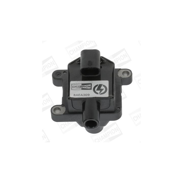 Ritė, uždegimas CHAMPION BAEA309