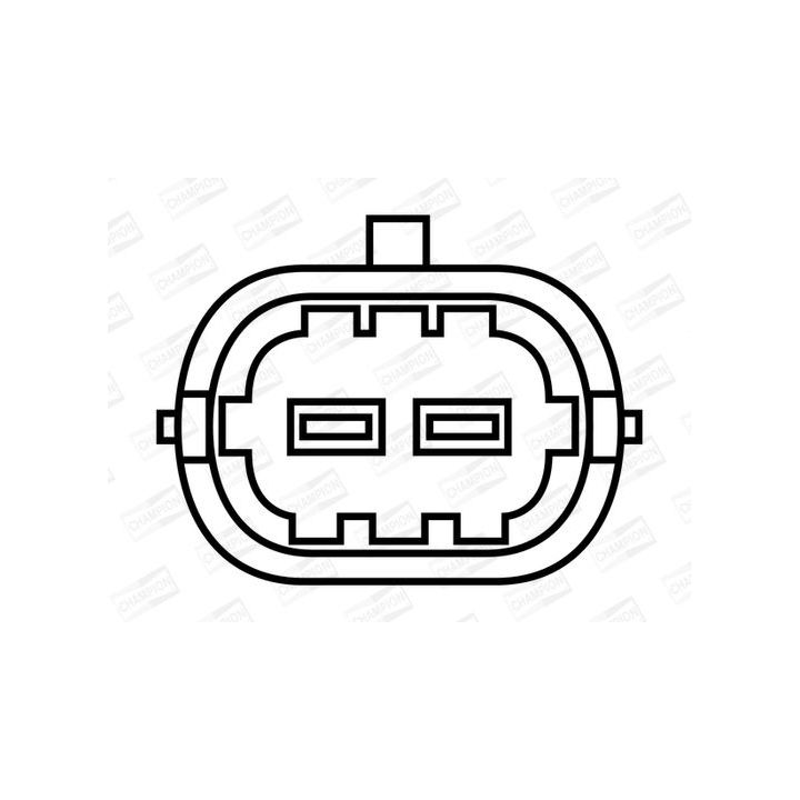 Ritė, uždegimas CHAMPION BAEA309