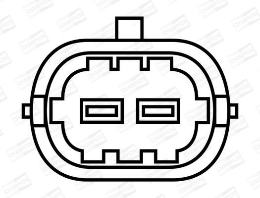 Ritė, uždegimas CHAMPION BAEA309