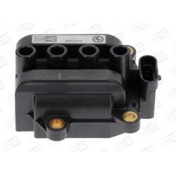 Ritė, uždegimas CHAMPION BAEA325