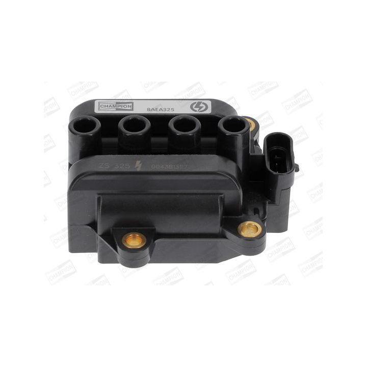 Ritė, uždegimas CHAMPION BAEA325