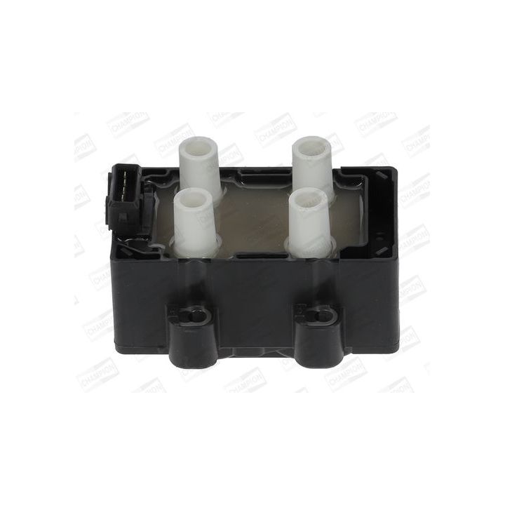 Ritė, uždegimas CHAMPION BAEA345