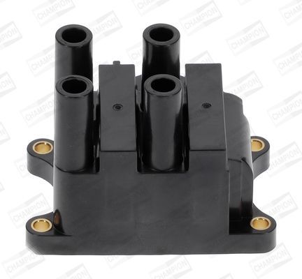 Ritė, uždegimas CHAMPION BAEA350