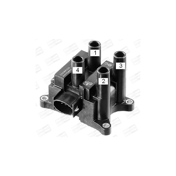 Ritė, uždegimas CHAMPION BAEA350