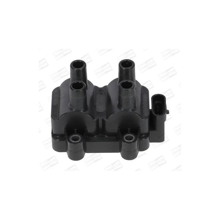 Ritė, uždegimas CHAMPION BAEA354