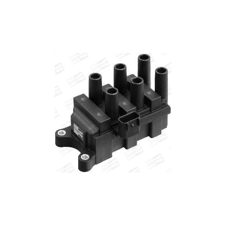 Ritė, uždegimas CHAMPION BAEA372