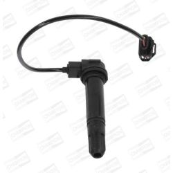 Ritė, uždegimas CHAMPION BAEA378