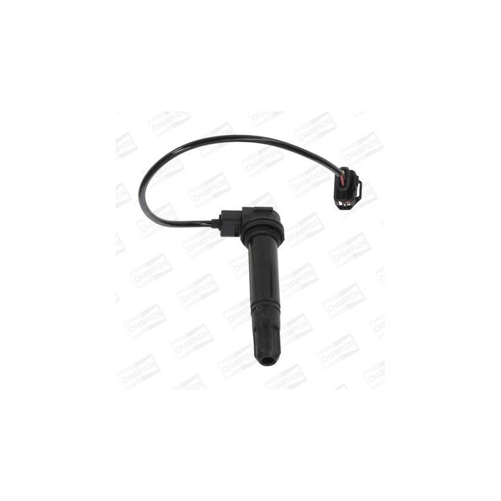 Ritė, uždegimas CHAMPION BAEA378