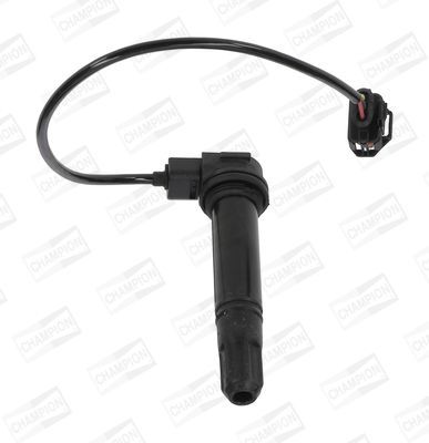 Ritė, uždegimas CHAMPION BAEA378