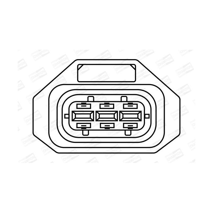 Ritė, uždegimas CHAMPION BAEA378