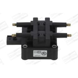 Ritė, uždegimas CHAMPION BAEA380