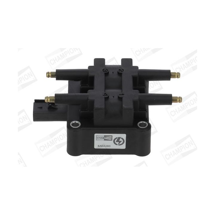 Ritė, uždegimas CHAMPION BAEA380