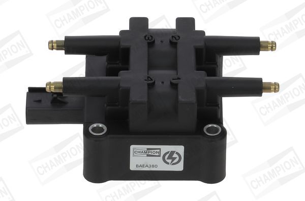 Ritė, uždegimas CHAMPION BAEA380