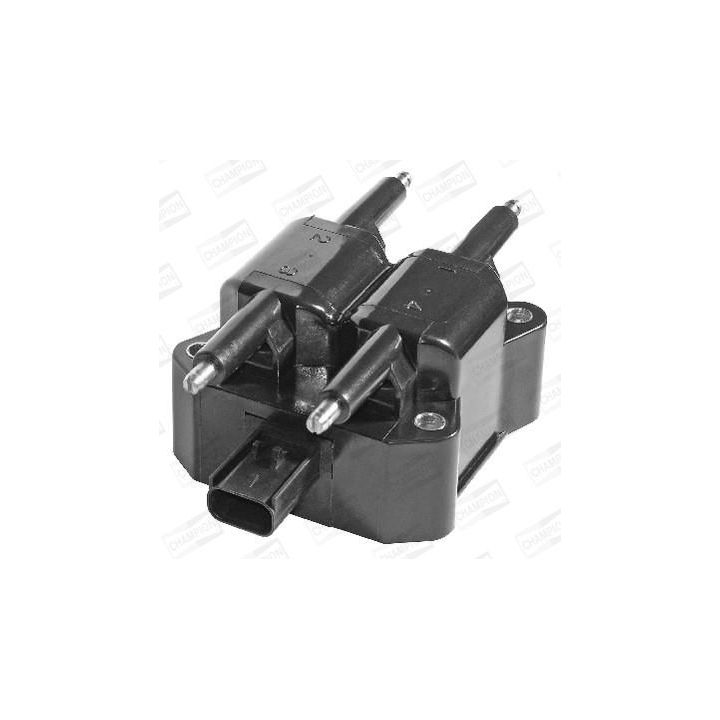 Ritė, uždegimas CHAMPION BAEA380