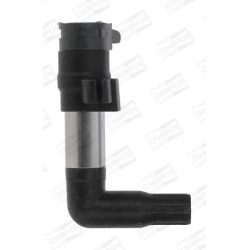 Ritė, uždegimas CHAMPION BAEA384