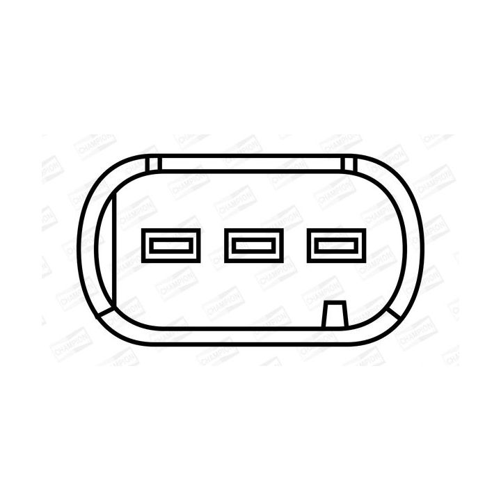 Ritė, uždegimas CHAMPION BAEA384