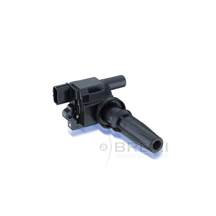 Ritė, uždegimas BREMI 20135