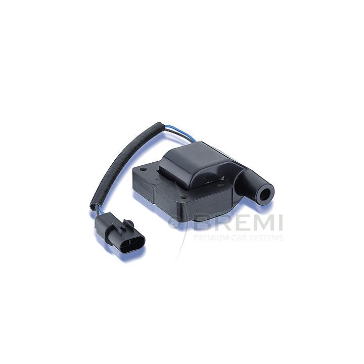 Ritė, uždegimas BREMI 20137