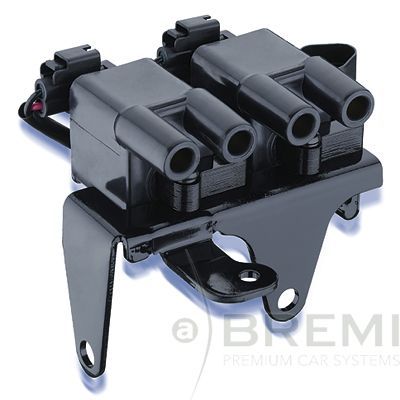 Ritė, uždegimas BREMI 20143