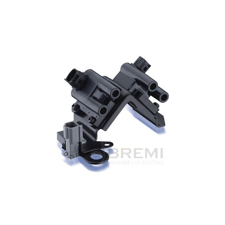 Ritė, uždegimas BREMI 20164