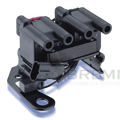 Ritė, uždegimas BREMI 20170