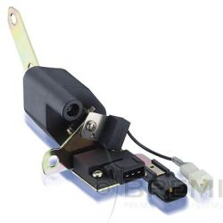 Ritė, uždegimas BREMI 20173