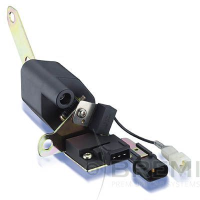 Ritė, uždegimas BREMI 20173