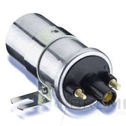 Ritė, uždegimas BREMI 20177