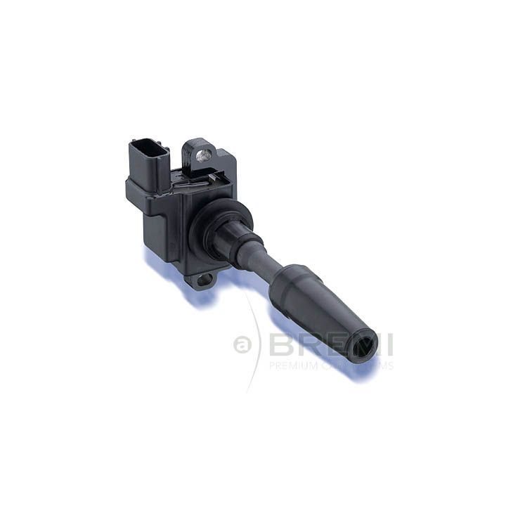 Ritė, uždegimas BREMI 20192