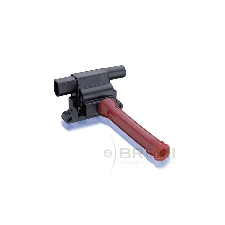 Ritė, uždegimas BREMI 20194