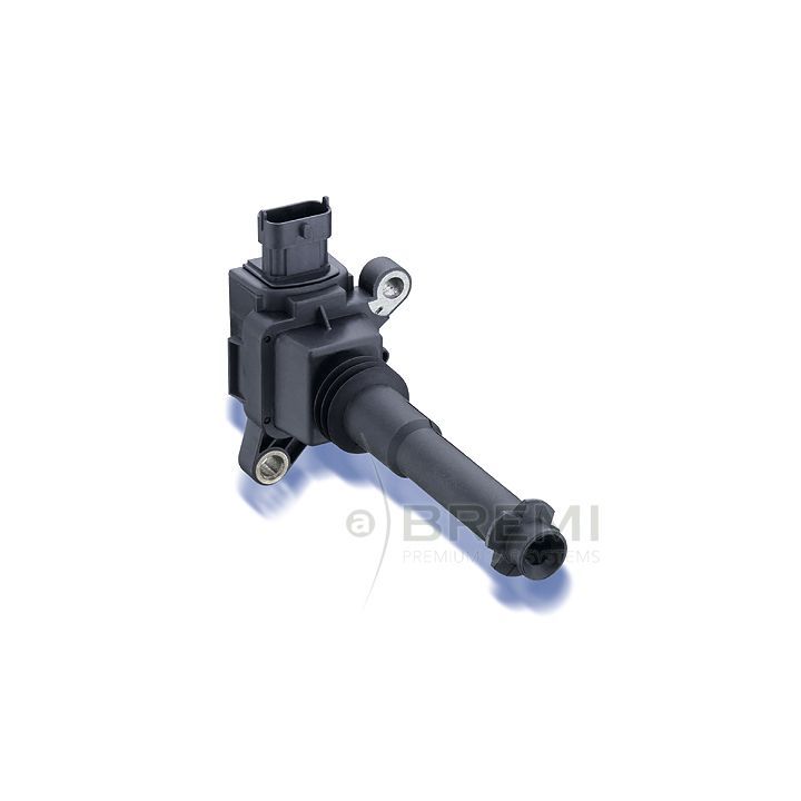 Ritė, uždegimas BREMI 20197