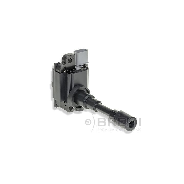 Ritė, uždegimas BREMI 20198