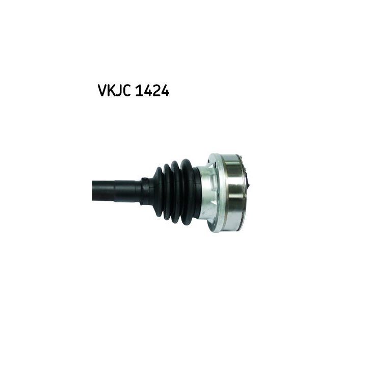 Pusašis SKF VKJC 1424