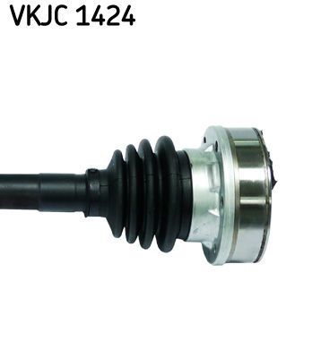 Pusašis SKF VKJC 1424