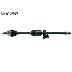 Pusašis SKF VKJC 2597