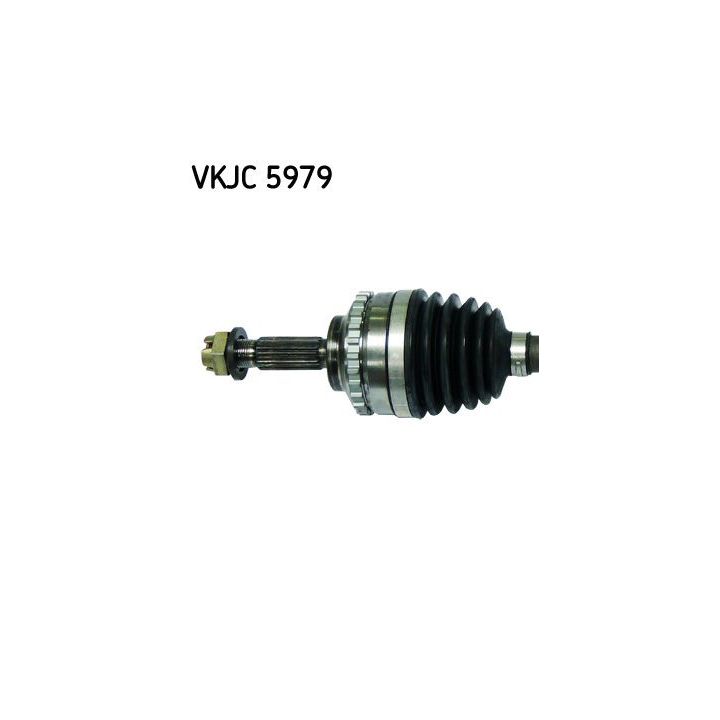 Pusašis SKF VKJC 5979
